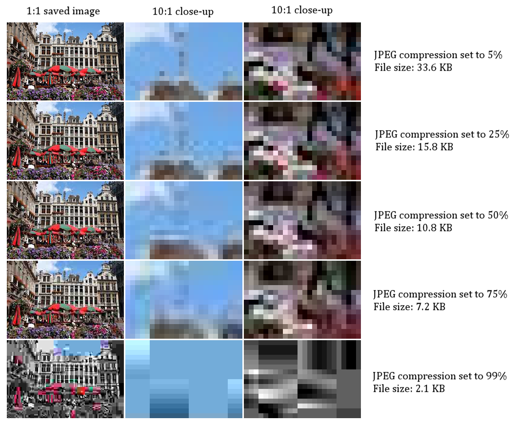 Comparison grid of the same photograph saved at five JPEG compression settings, each row showing the full image and two 10:1 close-ups alongside its file size