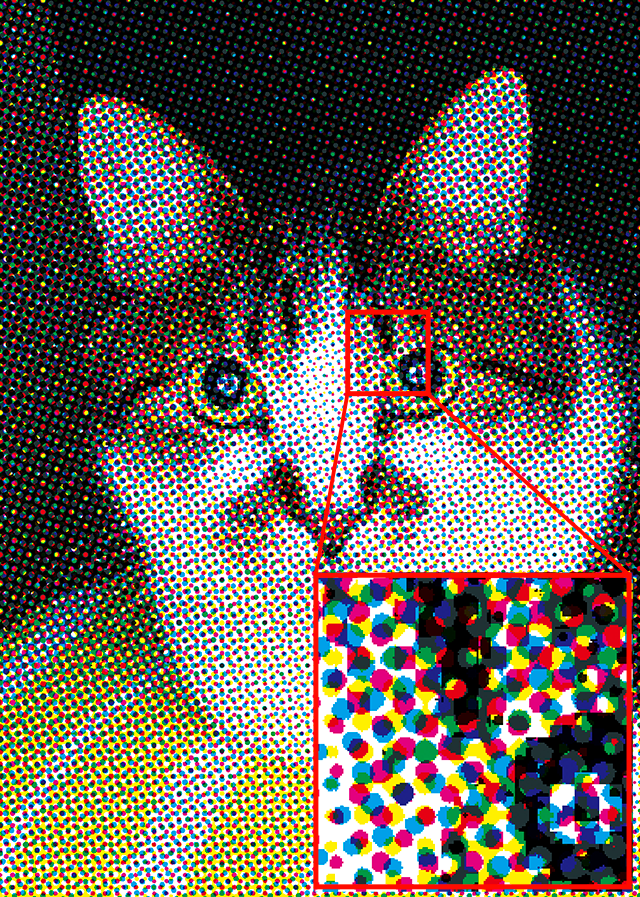 Magnified CMYK halftone screen showing cyan, magenta, yellow, and black dot rosettes